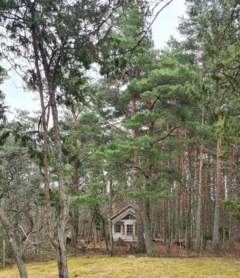 Meremaa Ateljee - B&B