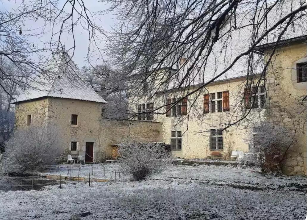 Grand gite Chateau - B&B