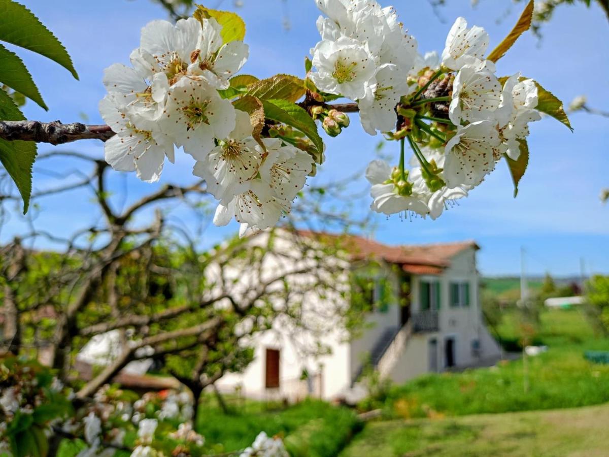 Casa Otrì - B&B