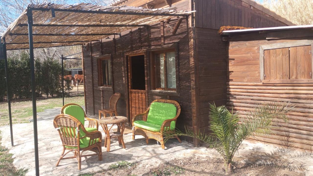 El guajiro - B&B Mas de las Matas