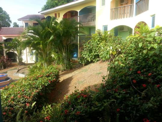La Martiniquaise - B&B
