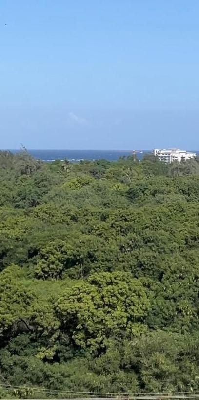 Deluxe One-Bedroom Apartment