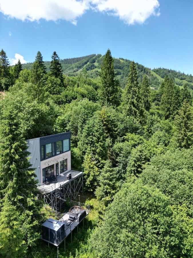 Forest Hub - B&B