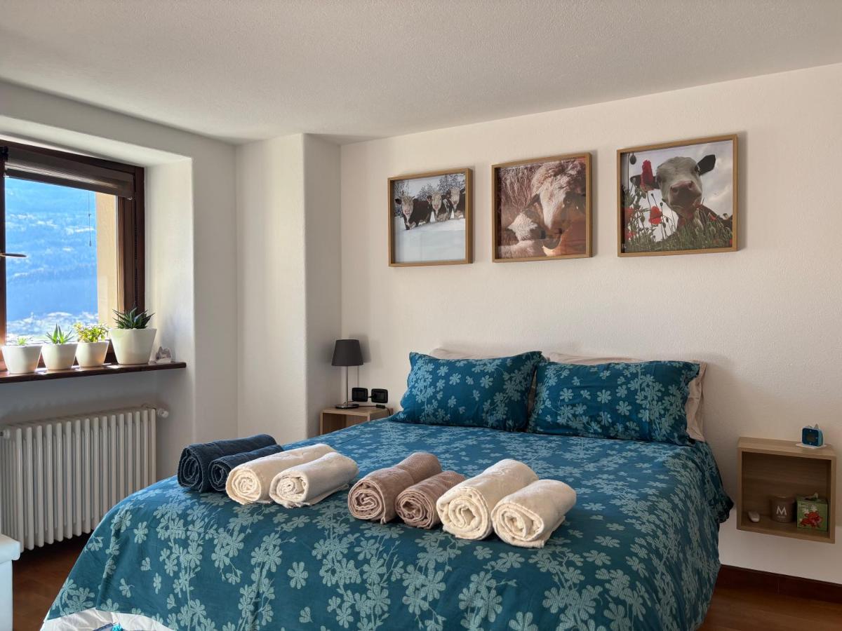 Appartement 1 Chambre