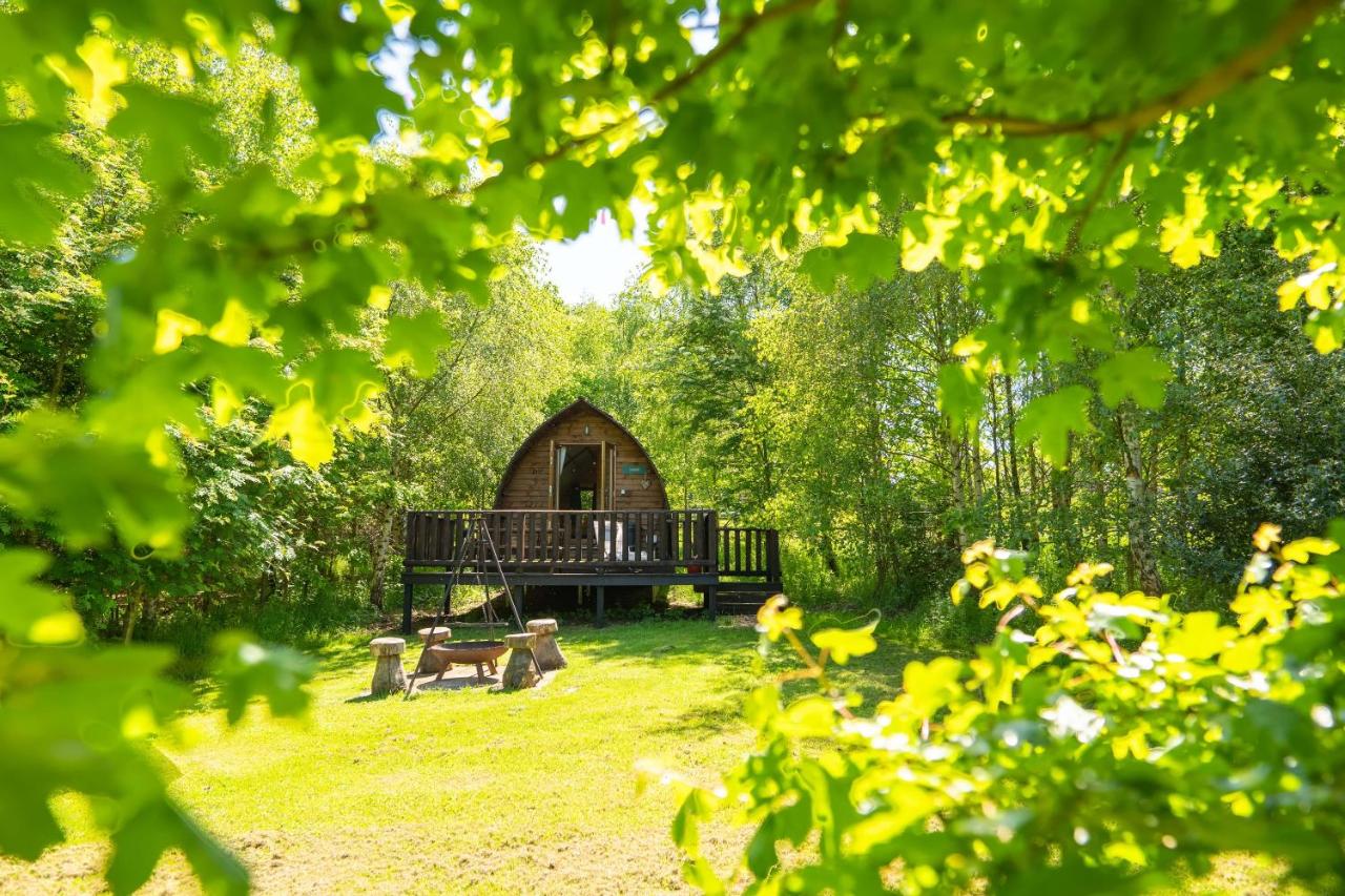 Standard Cabin with Hot Tub