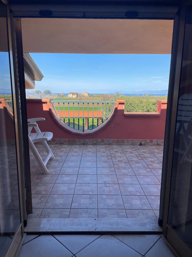 B&B Le Palme San Costantino - B&B