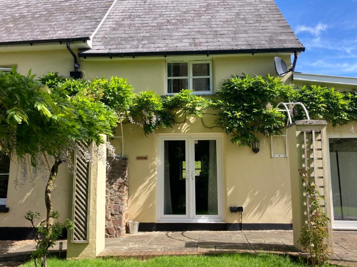 Oak View, rural home in Devon with Indoor Pool - B&B Broadwoodkelly