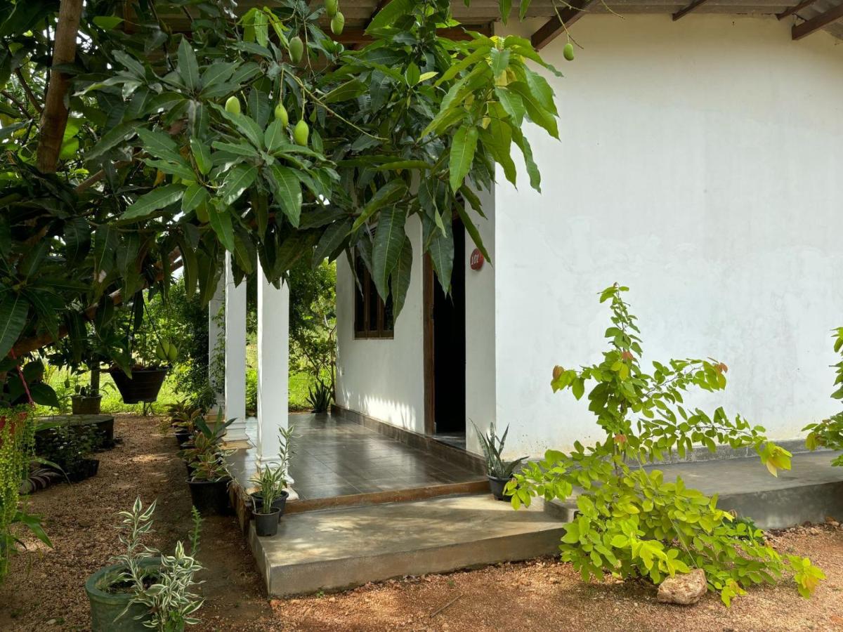 Peacock village and family resort - B&B