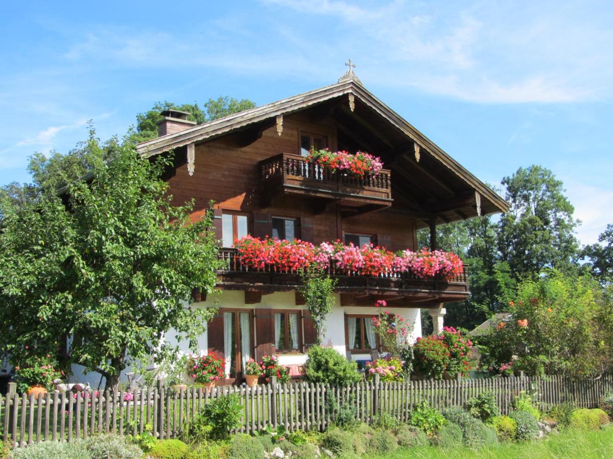 Blick zum Riesenkopf - B&B