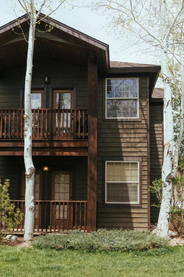 Large & Updated Driggs Condo Close to Town! 40 miles to Grand Teton! - Chambres d'hôtes Driggs