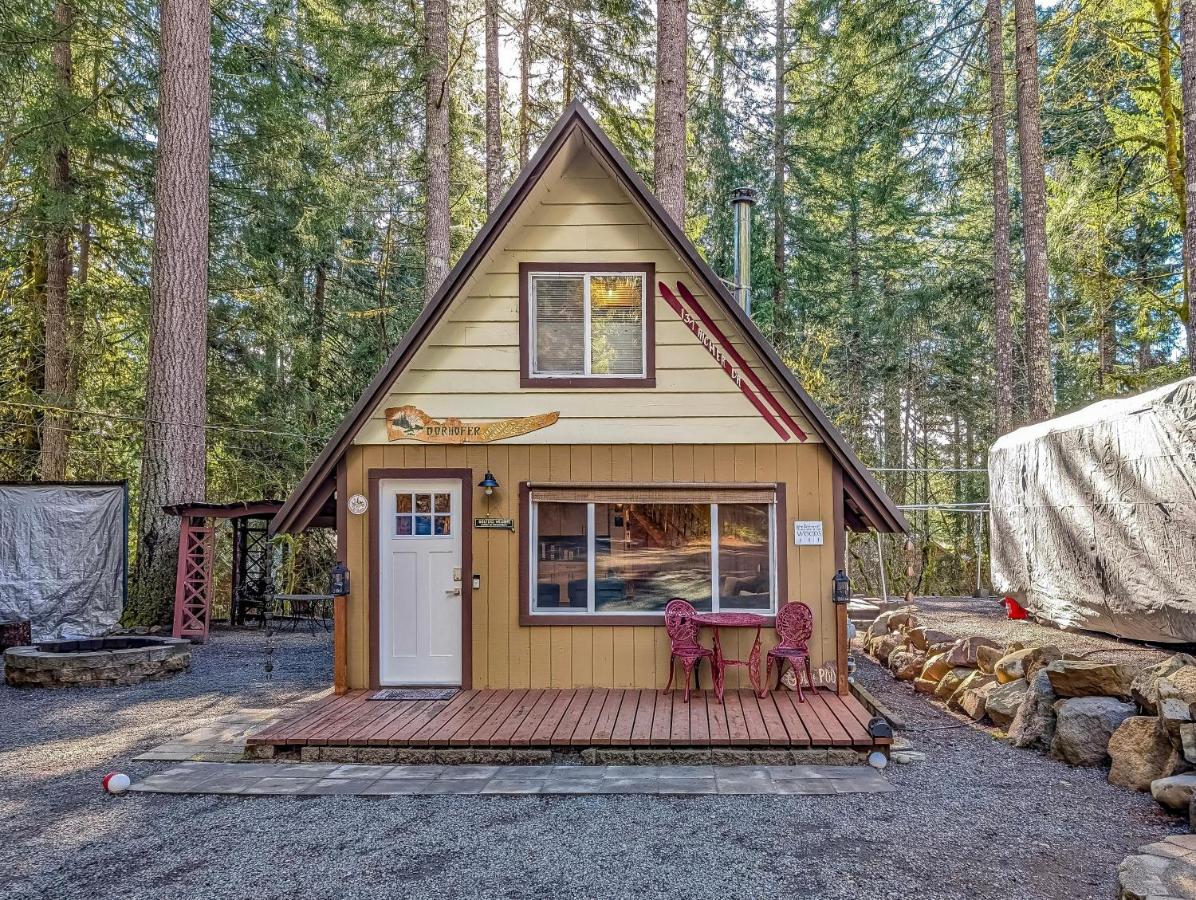 Tee & Ski Cabin - B&B Packwood