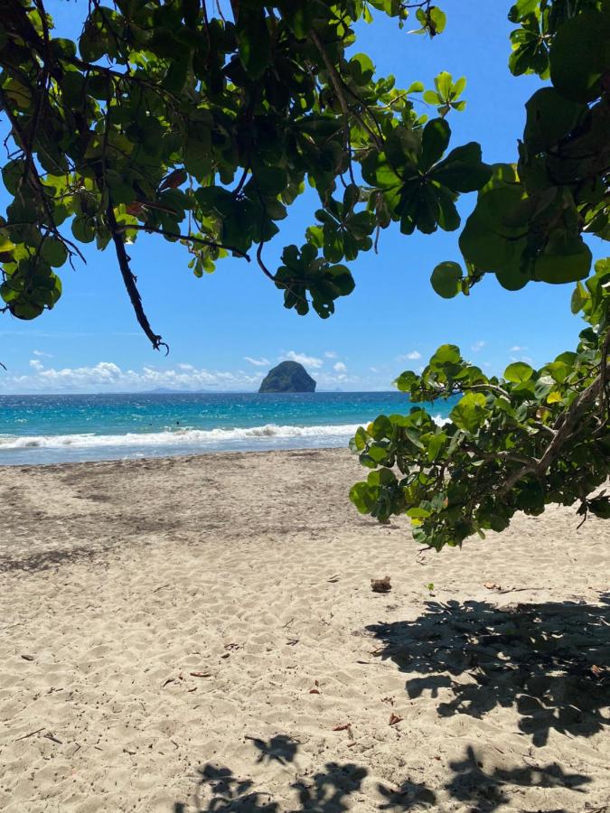 Les Trésors du Diamant - Chambres d’hôtes Le Diamant