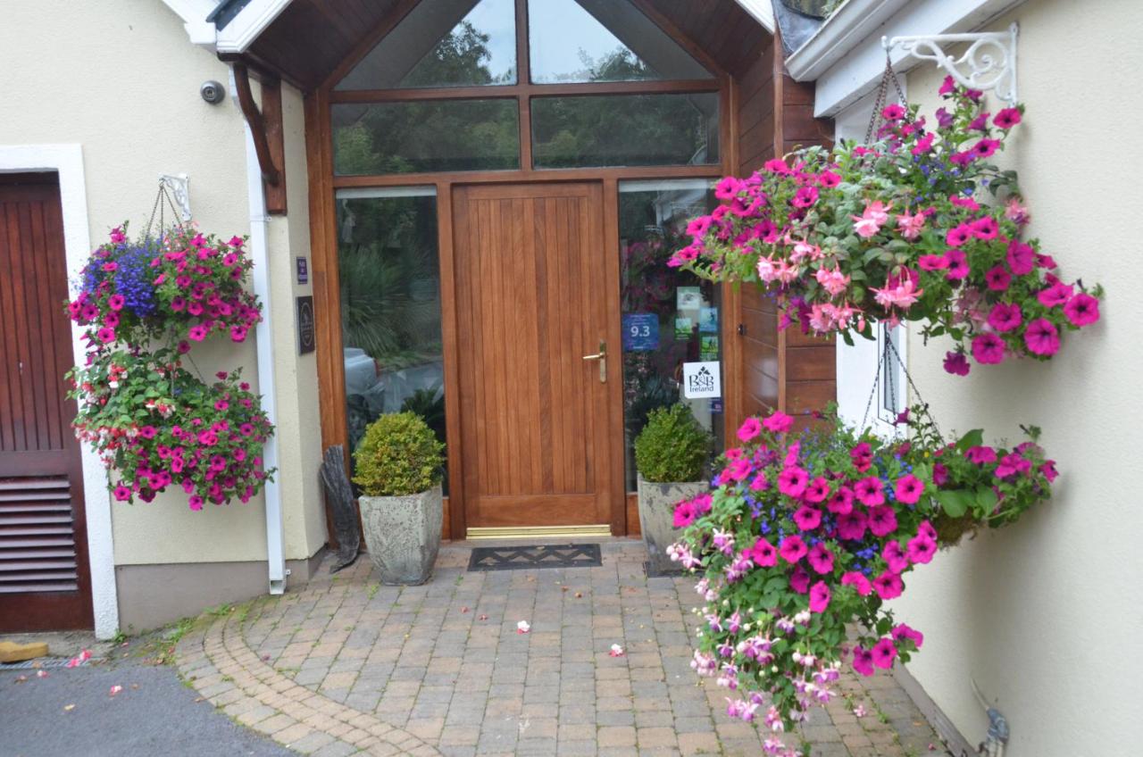 Camillaun Lodge with Lough Corrib Boat Hire - Chambres d’hôtes