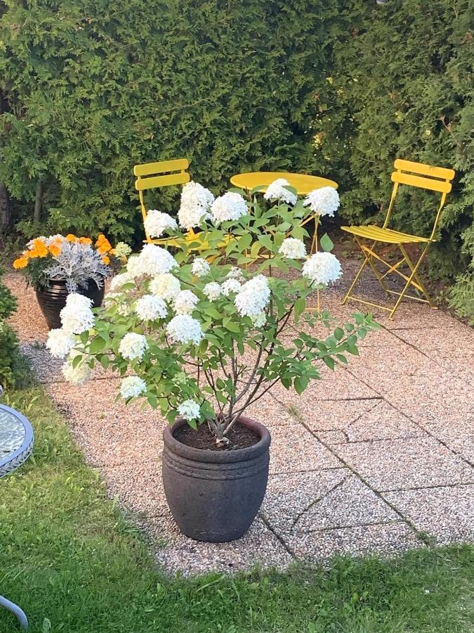 Apartment mit 3 Schlafzimmern
