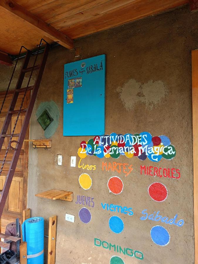 Habitación Compartida Mixta