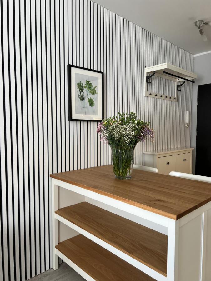 Apartament City Rent Płock 2