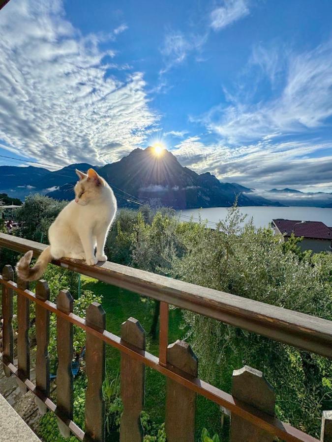 Casa Verenice - B&B