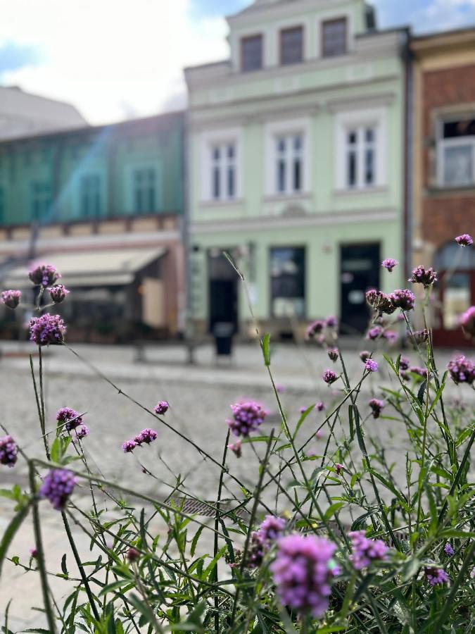 Apartament Rynek 17