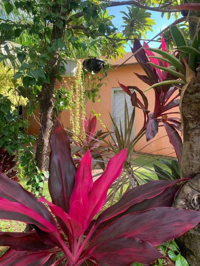 Garden House - Ferienwohnung Las Galeras