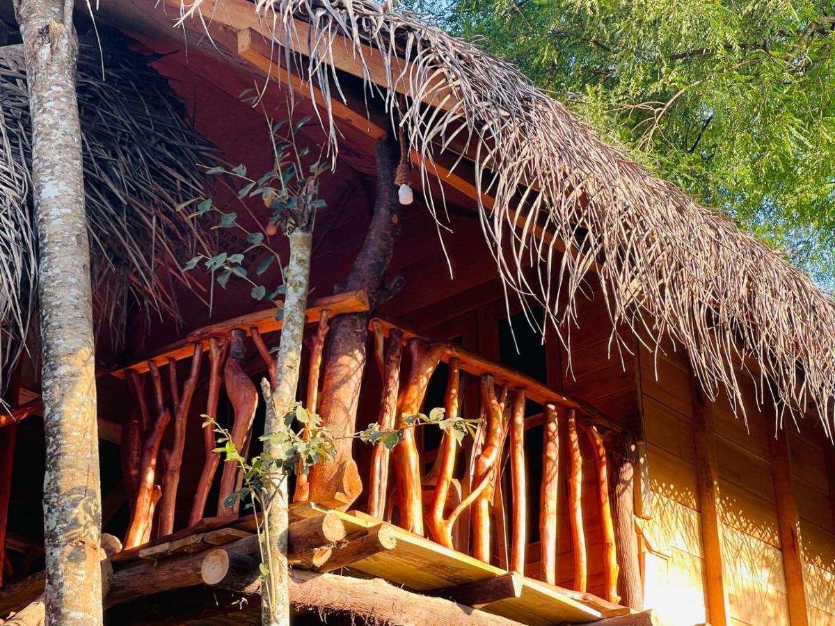 Green land tree house sigiriya - B&B