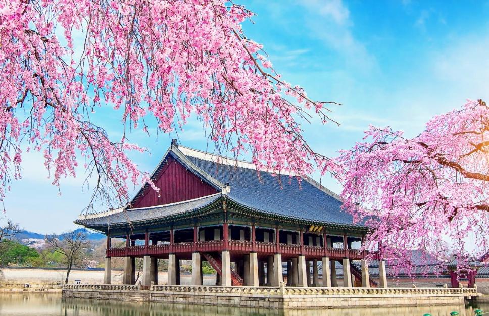 Special Offer,3 minutes to Airport Bus, 3 Bedrooms, 4 Beds, Accommodates up to 7 Guests, Near Hongje Waterfall - B&B Seoul