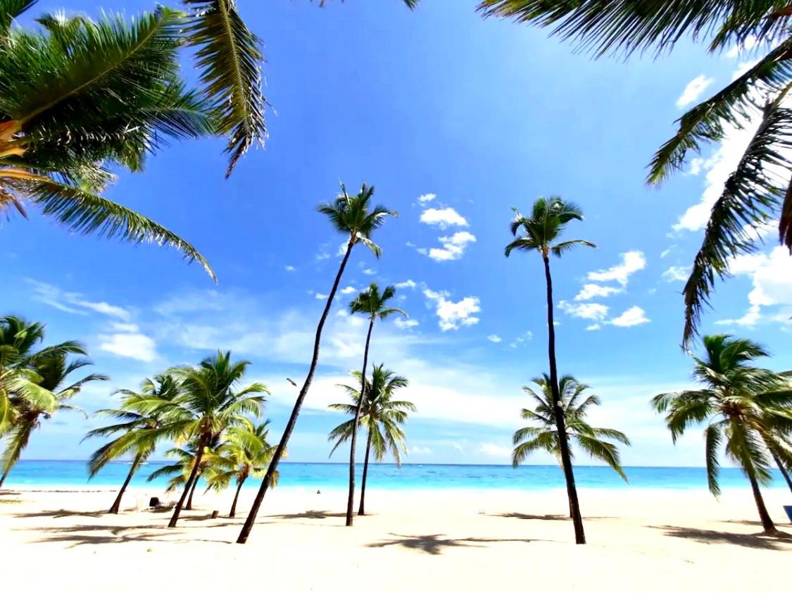 Disfruta momentos inolvidables - Ferienwohnung Santo Domingo