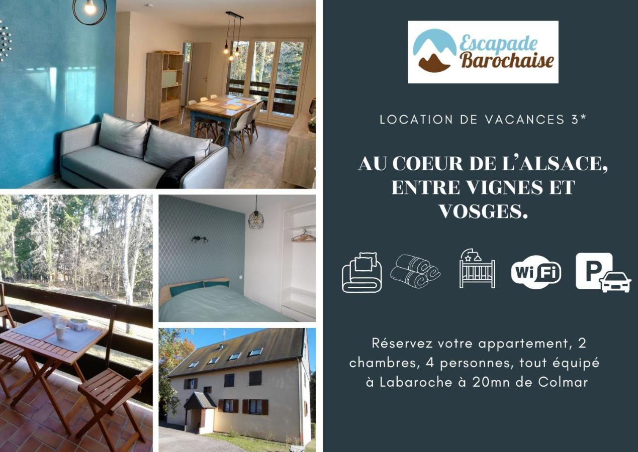 Un séjour ressourçant en Alsace entre vignes et montagnes l'Escapade Barochaise à 20mn de Colmar - B&B
