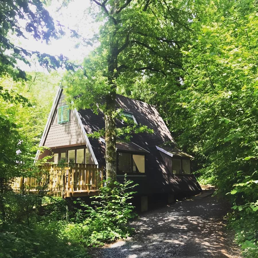 Chalet Het Hulstje Durbuy - B&B
