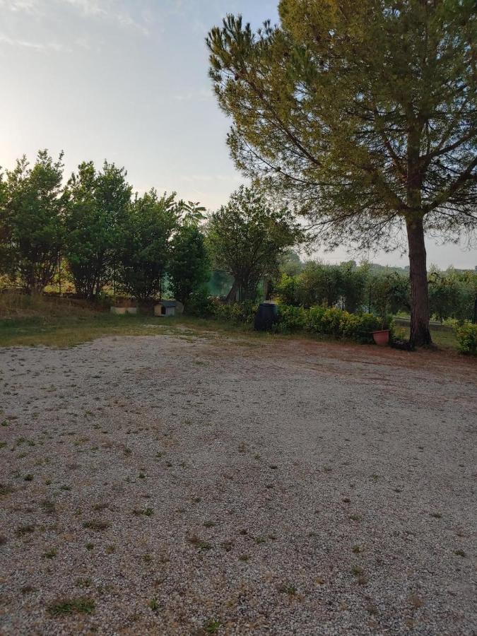 casa villa degli ulivi - B&B