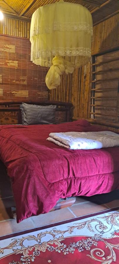 Deluxe Double or Twin Room with Balcony