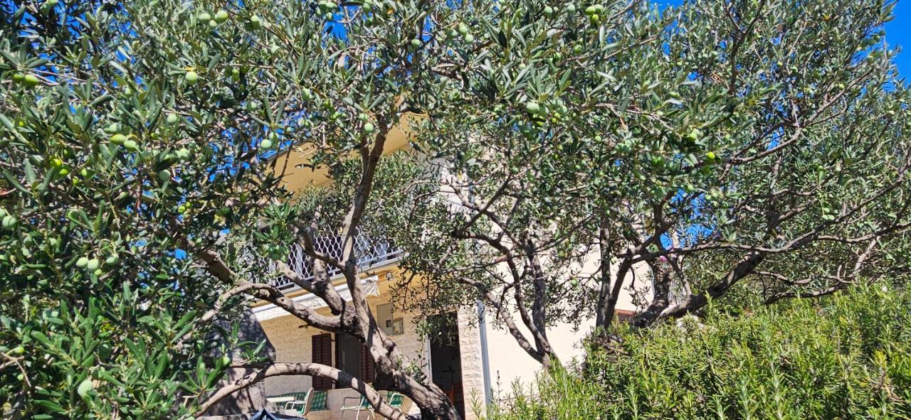 Vila Propuh Primošten - B&B Primošten
