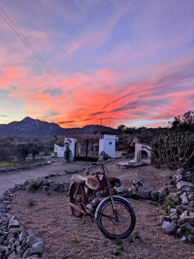 Finca Mamaflo - B&B
