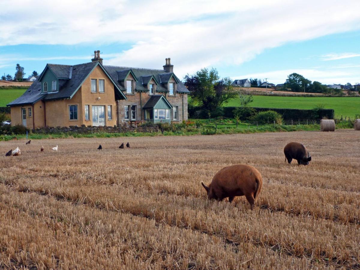 Netherton Farm B&B - B&B Culbokie
