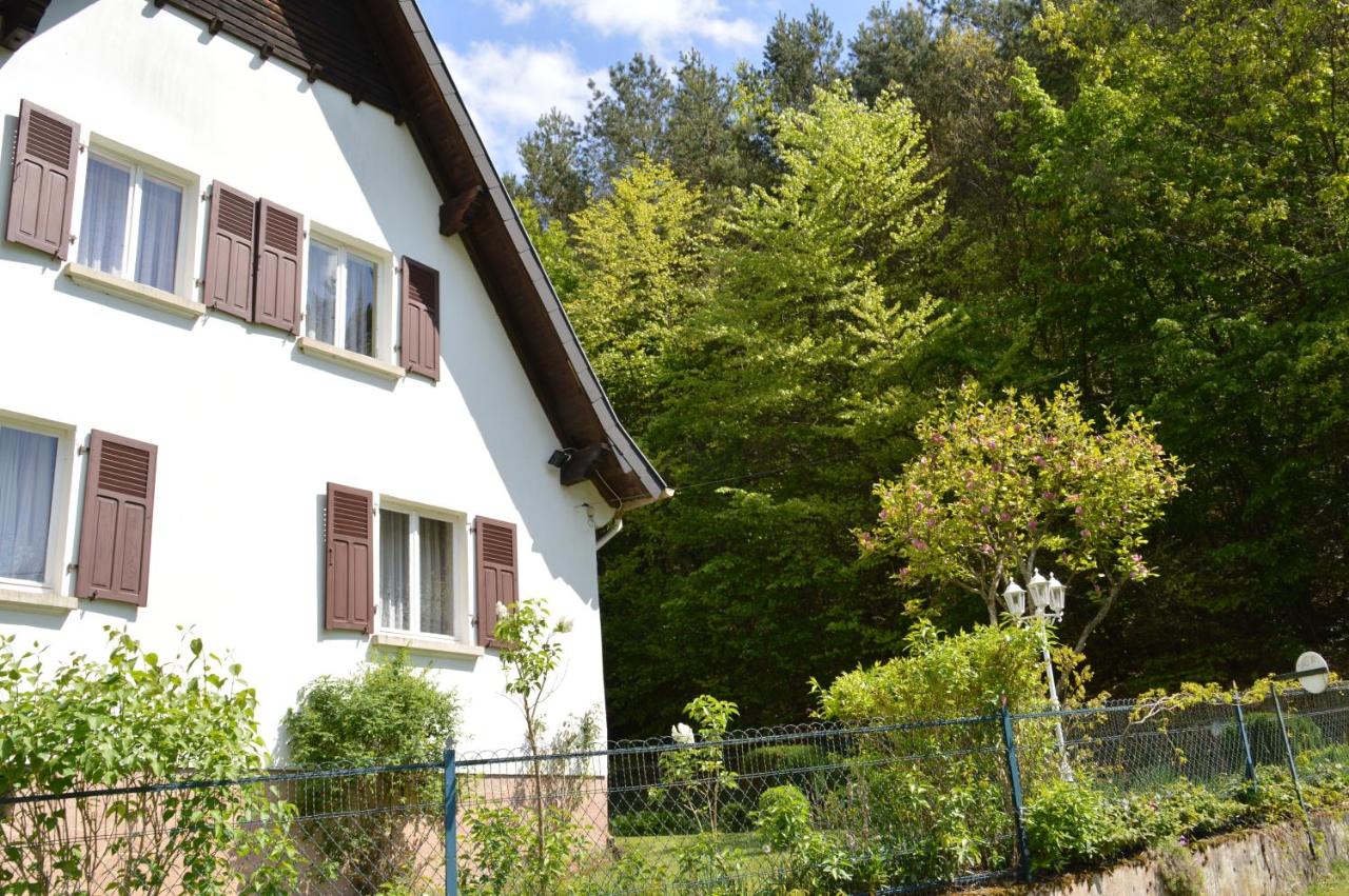 Le Gîte de l'Ecureuil - B&B