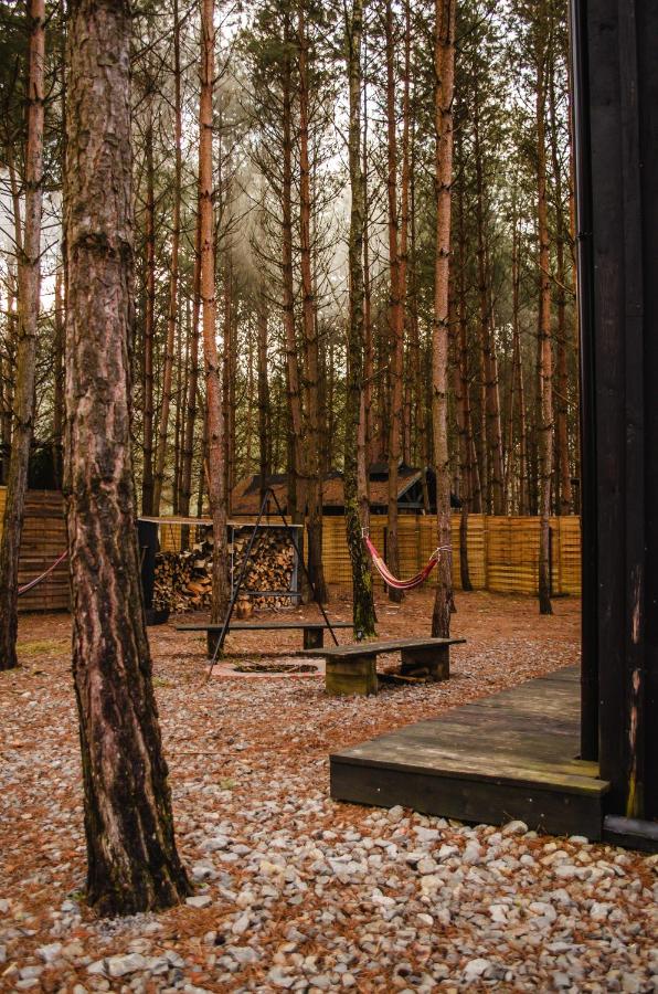 Domek SzumiSosna1 - B&B