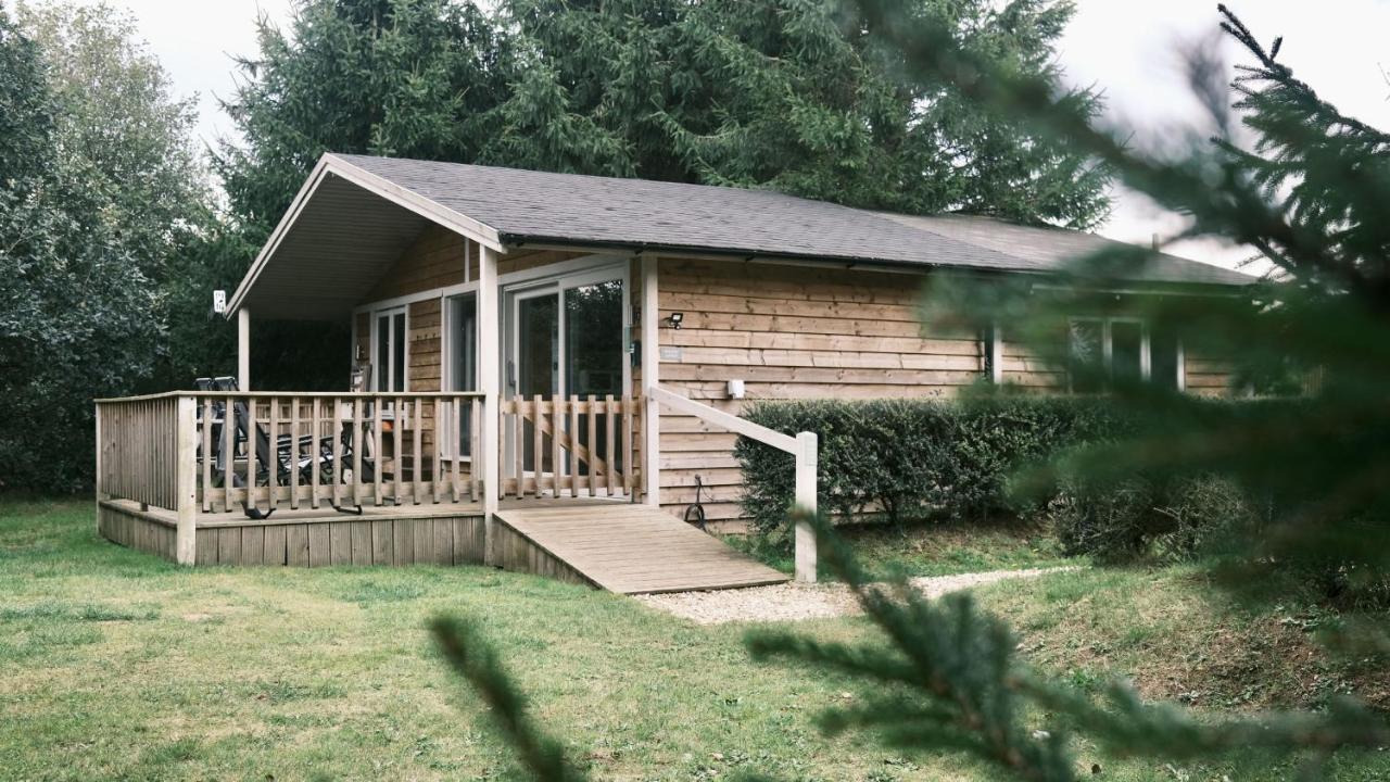 Willow Lodge - B&B West Wellow