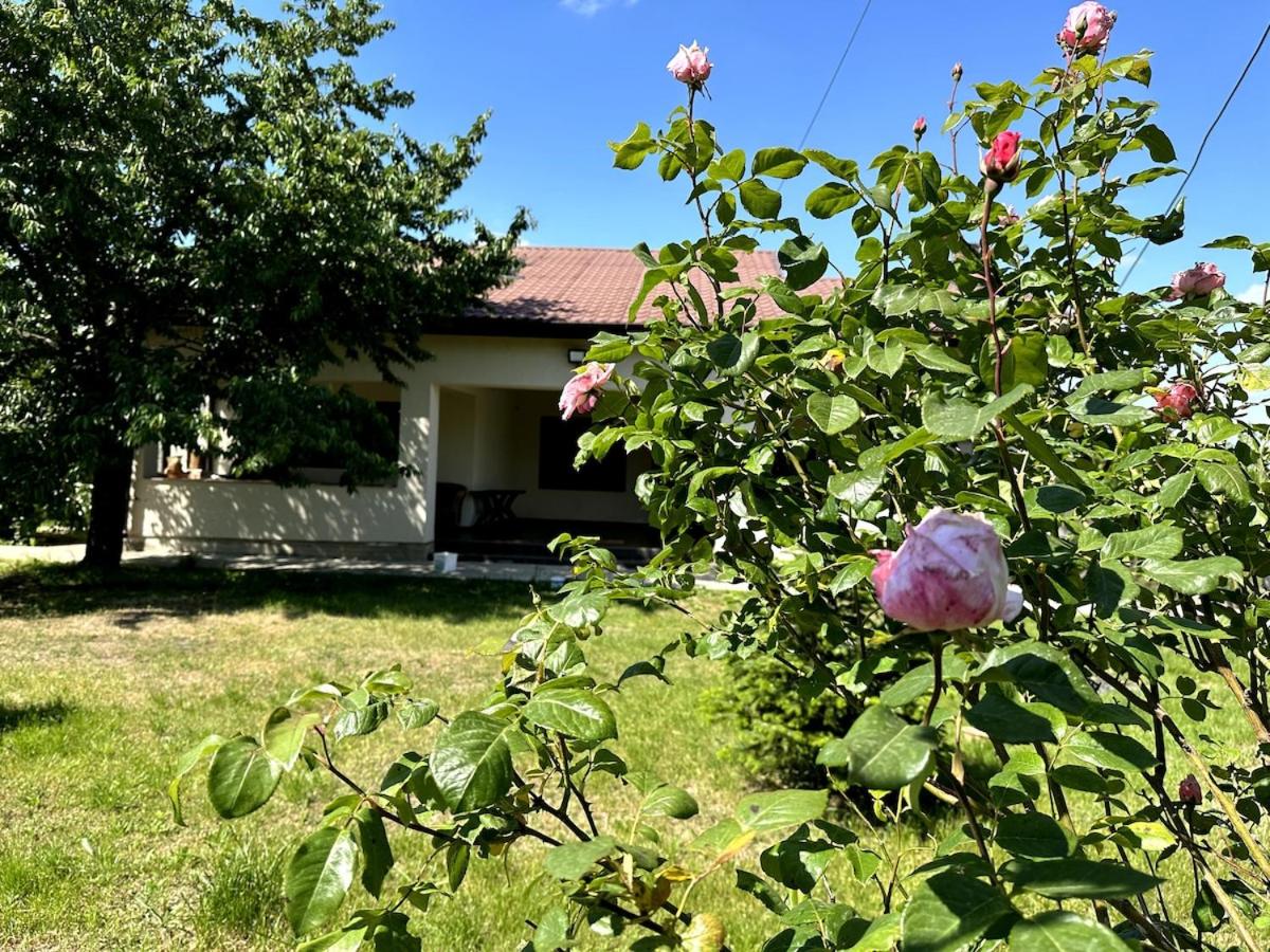Căsuța de la țară - Bed and Breakfast Bradu