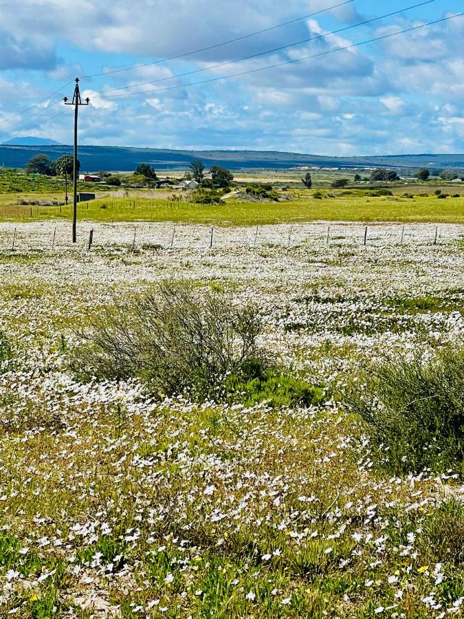 FarmStay - B&B Elandsbaai