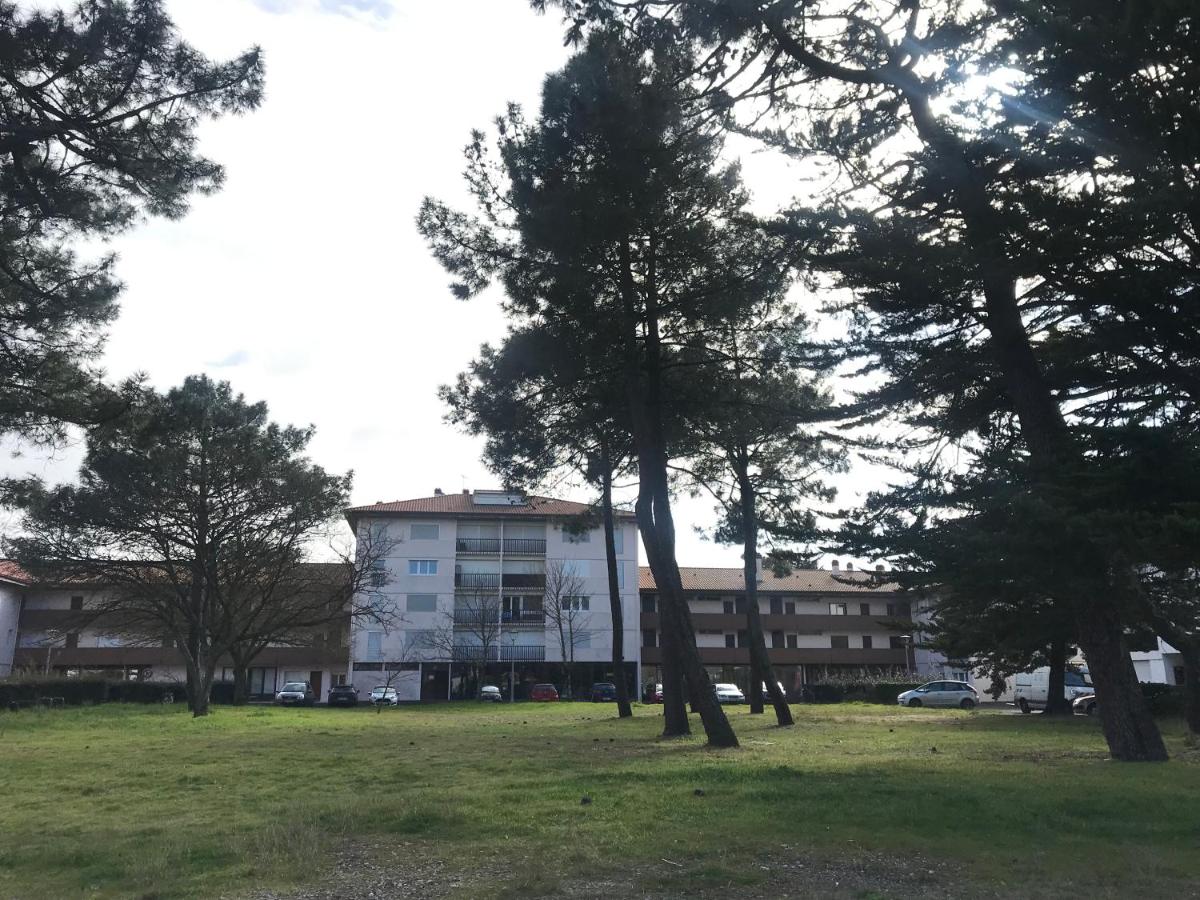La Forêt 5 - B&B Mimizan-Plage