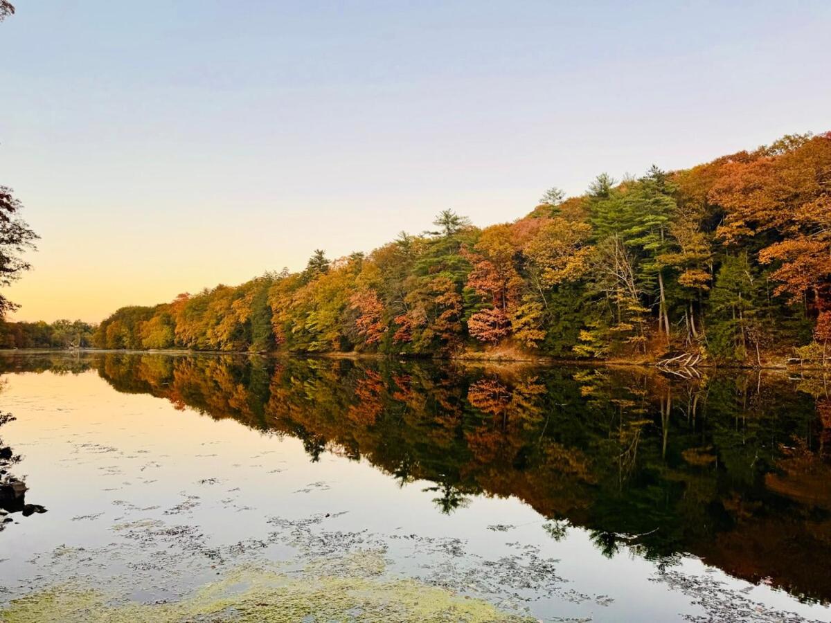 Peaceful Catskills Creek House - Ferienwohnung Saugerties