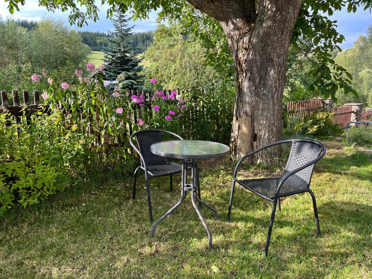 Chalupa pod orechem / Romantic cottage in Sumava - B&B