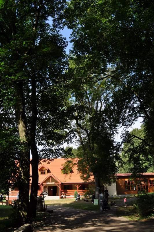 Dworek - Baza Noclegowa na Barbarce - B&B Toruń