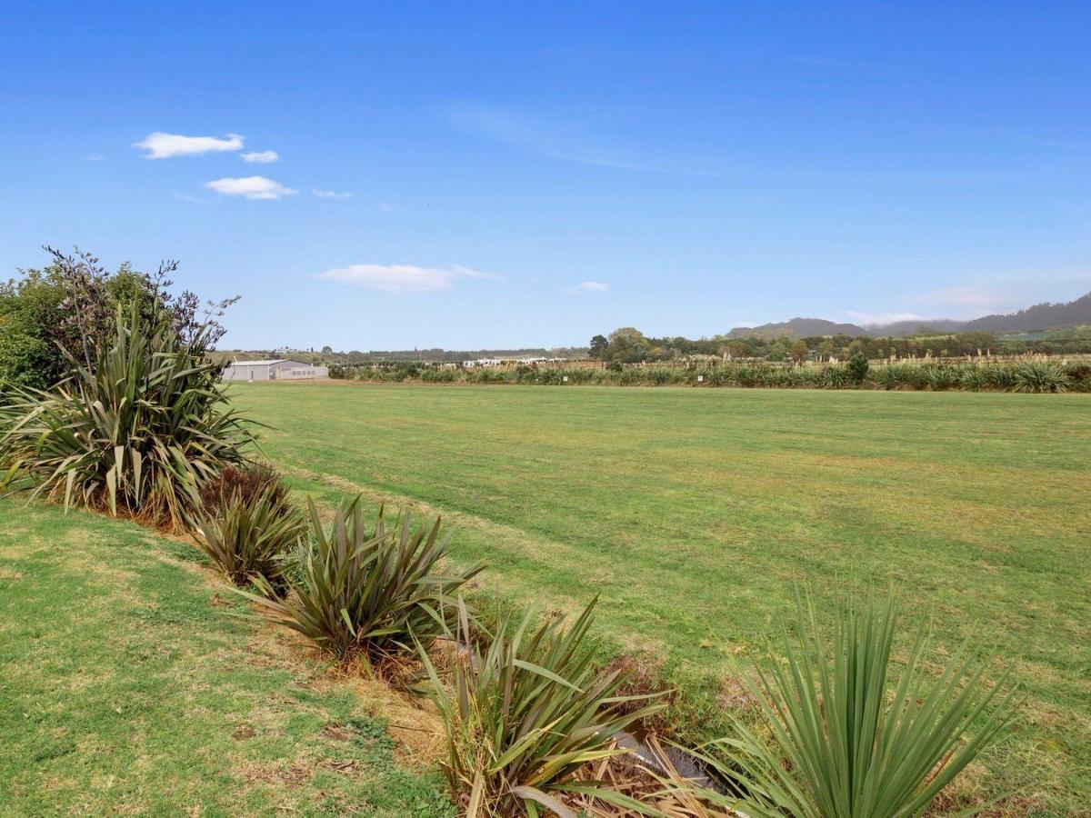 Reel retreat - sunny with views! - Ferienwohnung Waihi Beach