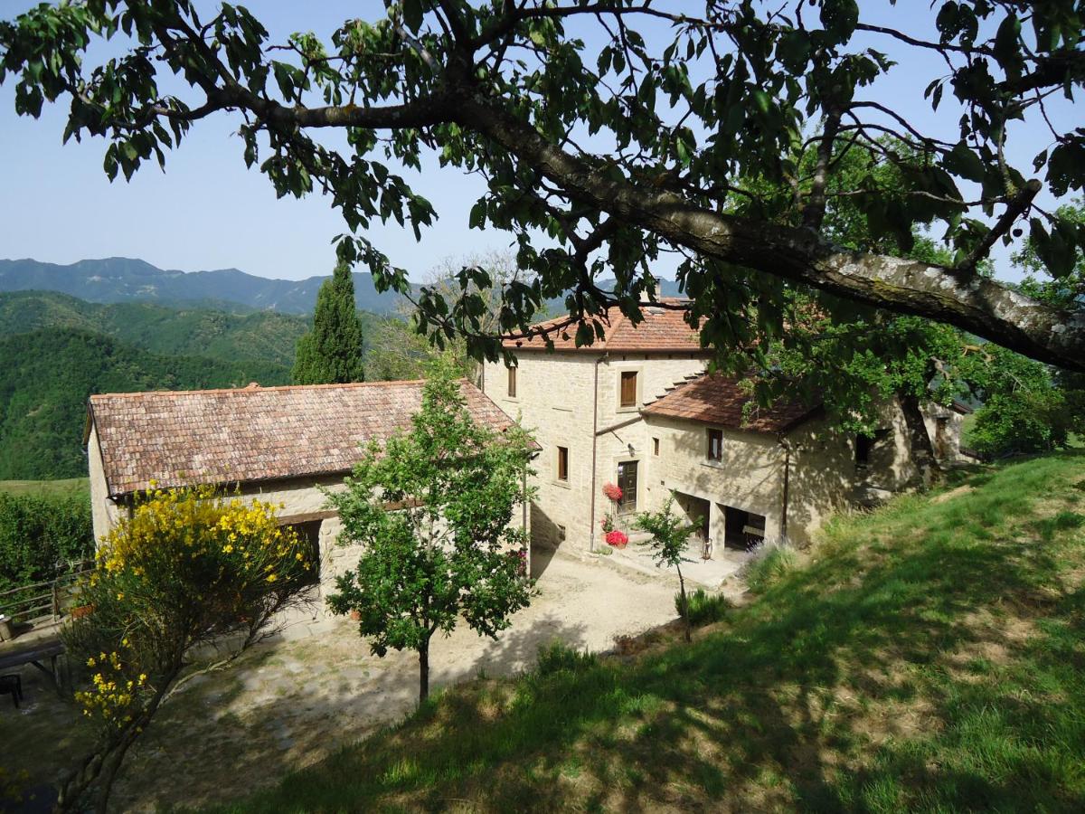 Agriturismo I Monti di Salecchio - Bed and Breakfast