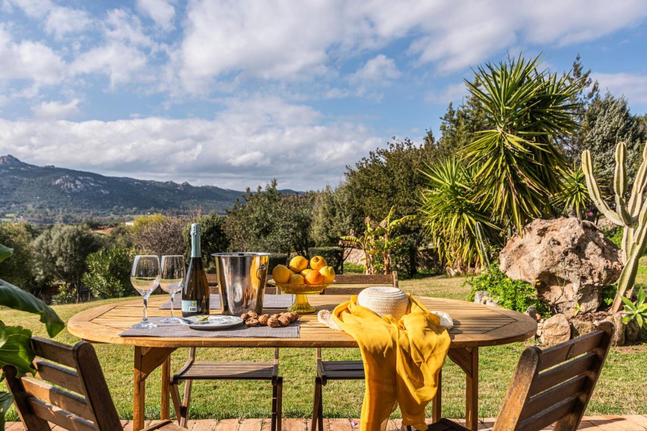 One Bedroom Apartment with Terrace 1