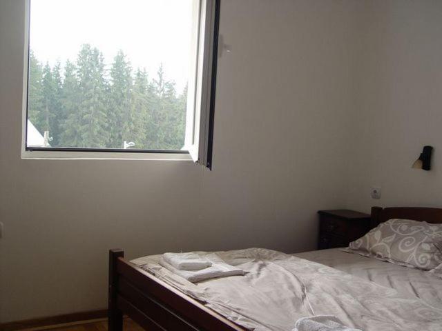 Apartments Durmitorska Vila - B&B