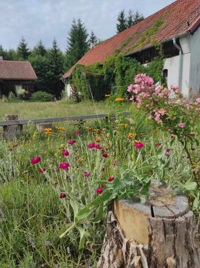 Jabłkowo-na skraju Puszczy Boreckiej ŚNIADANIA W CENIE - B&B