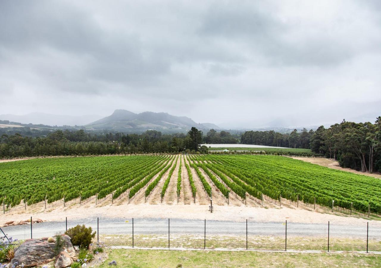 Wildeberg Manor House - Bed and Breakfast Franschhoek