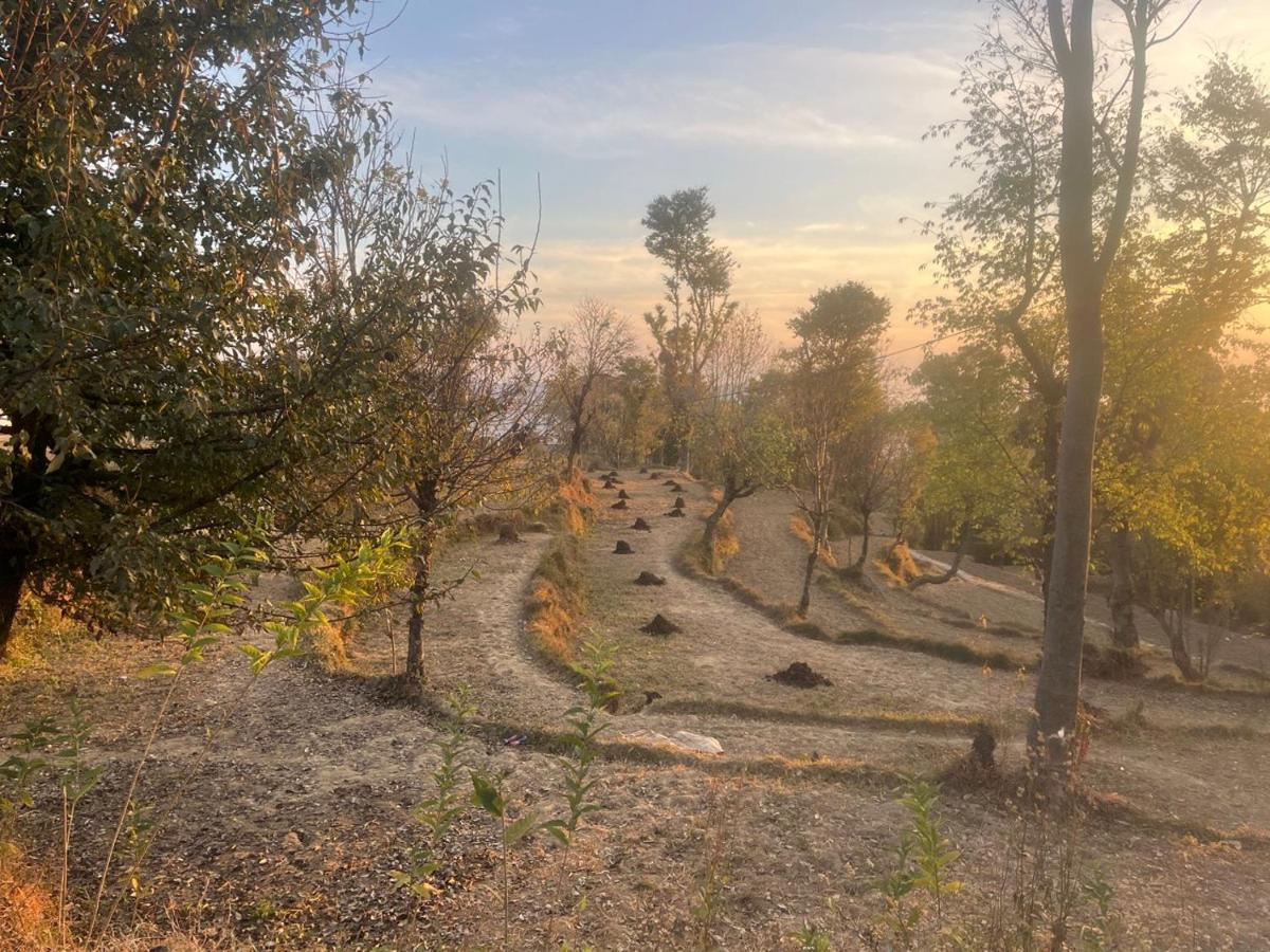 Mystic Hills Bir Campsite - B&B Bīr Khās