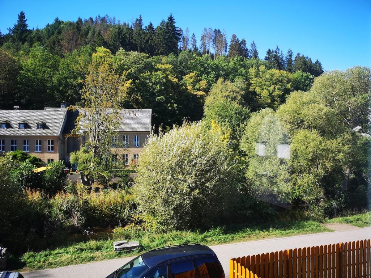 Waldoase im Nationalpark Eifel für 4 Personen und max 2 Hunde - B&B